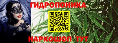 ПСИЛОЦИБИНОВЫЕ ГРИБЫ Бийск