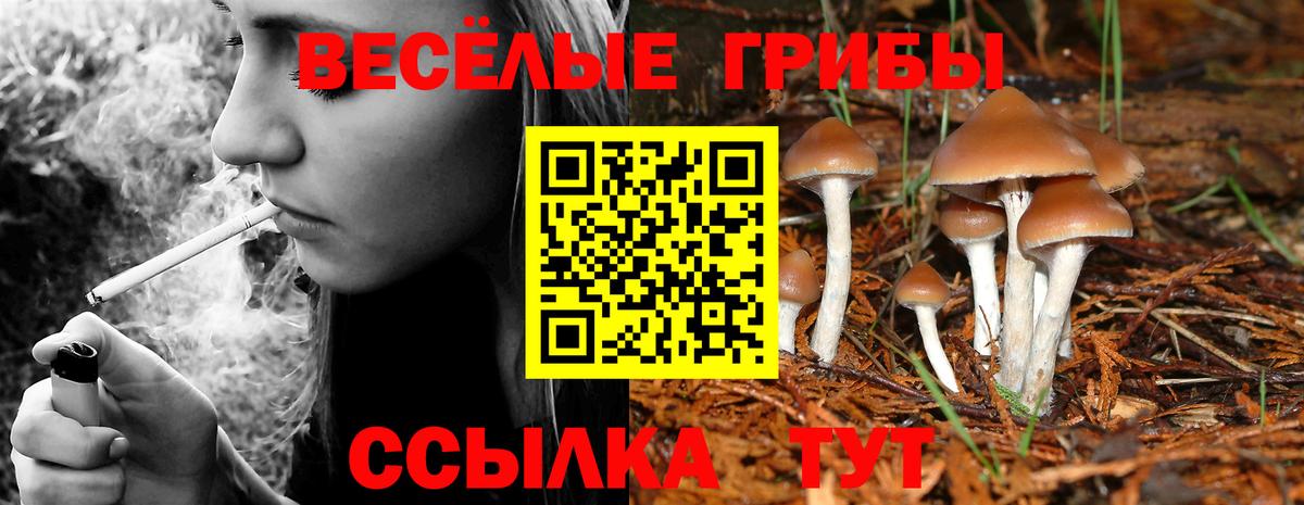 Галлюциногенные грибы Magic Shrooms Губаха